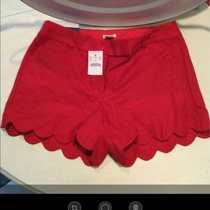 J Crew Scallop Edge Shorts Size4